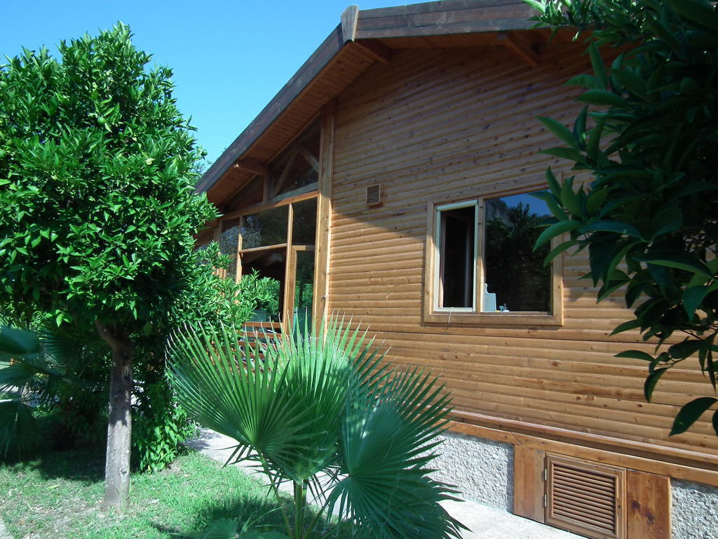 Sedir Palas Hotel Çıralı Exterior foto